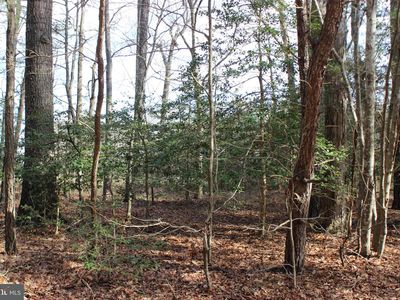 151 Shanghai Rd, Greenbackville, VA, 23356