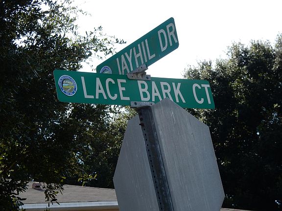 5th image of 201 Lace Bark Ct