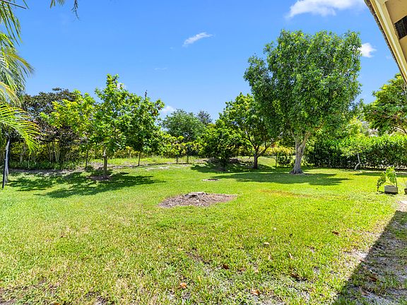 4th image of 10555 Paso Fino Drive