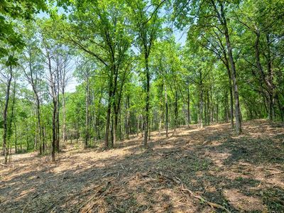 82nd St E, Inver Grove Heights, MN, 55077