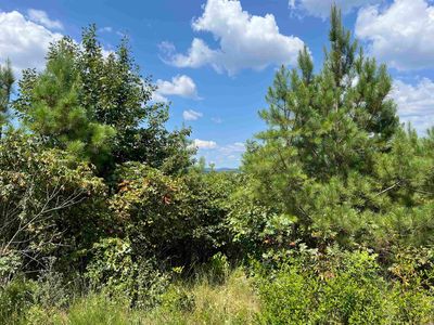 (Undisclosed Address), Bonnerdale, AR, 71933