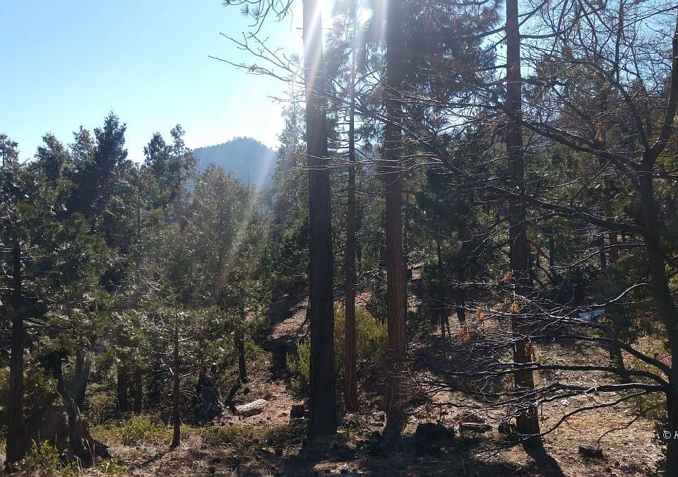 1419 Alta Sierra Rd, Wofford Heights, CA 93285 Zillow