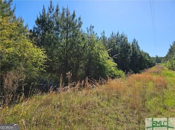 0 N Mouth Of The Creek Rd, Sylvania, GA 30467