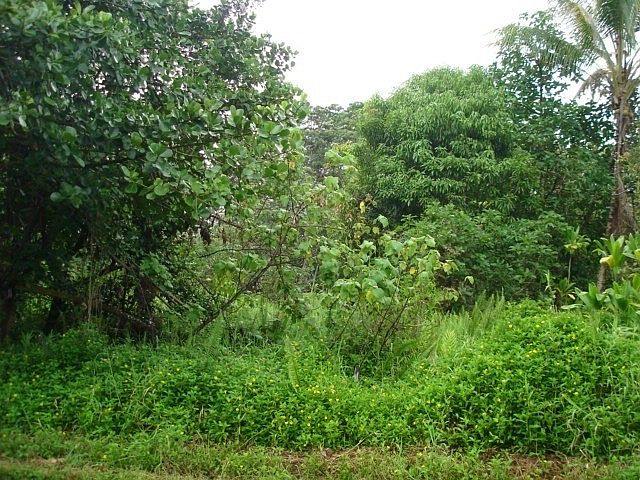 2nd image of 27th Ave Lot 219