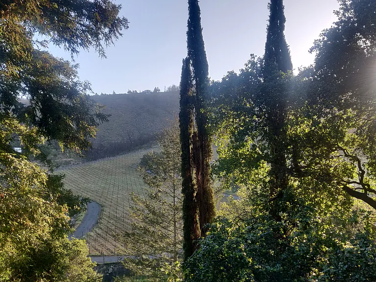 880 Deer Park Rd #1 — Photo 5