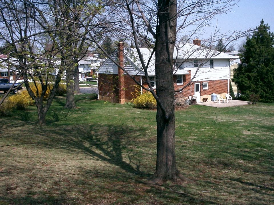 Showing most of backyard