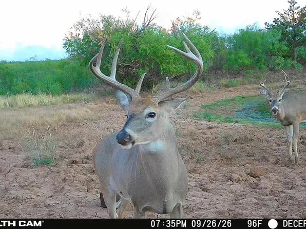30389 E County Road 1360 Rd, Willow, OK 73673