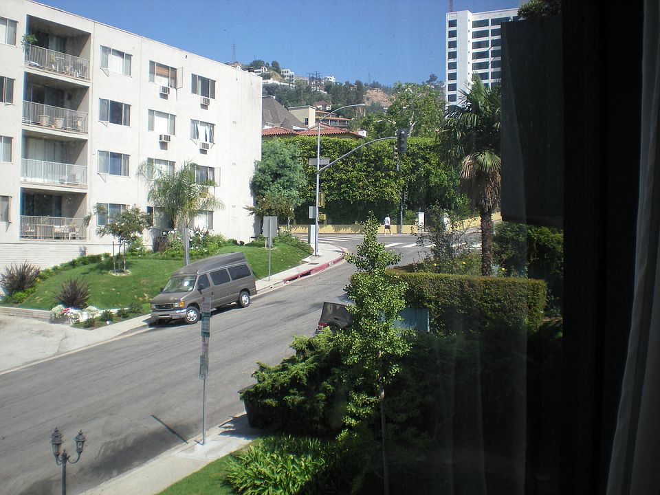 1st image of 1222 N Olive Dr APT 313