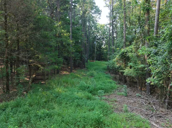 179 Polk County Rd #169, Mena, AR 71953