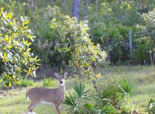 26740 Fishermans Rd, Paisley, FL 32767