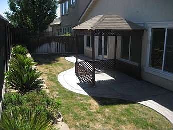 Back yard