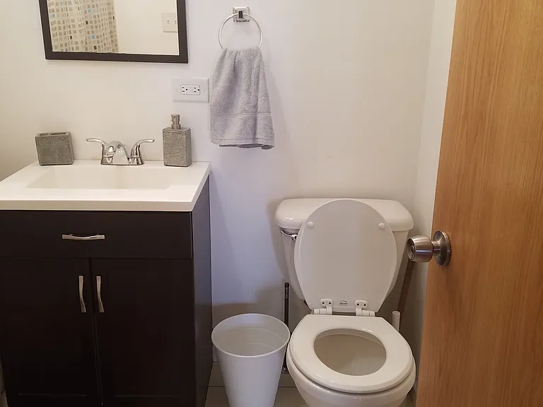 1708 S Carpenter St #2R — Photo 8