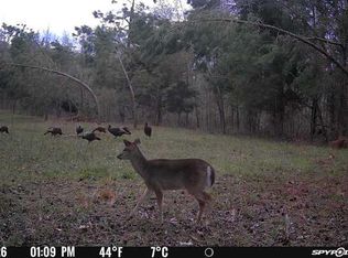 181 County Road 415, Oxford, MS 38655