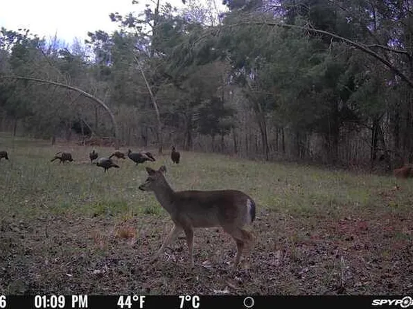 181 County Road 415, Oxford, MS 38655