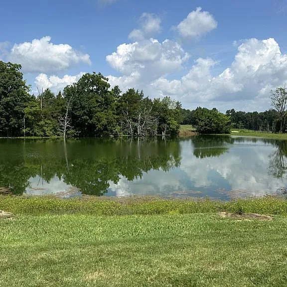 155 Strawberry Field Dr — Photo 31