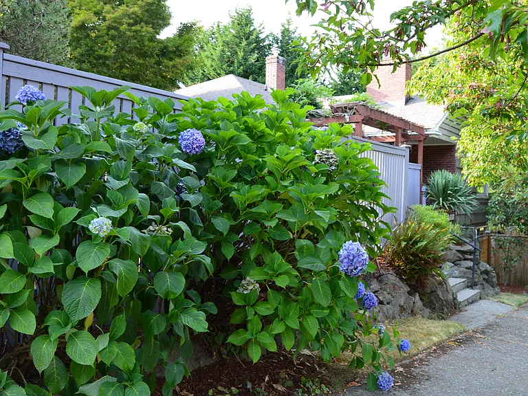 5405 47th Ave NE — Photo 2