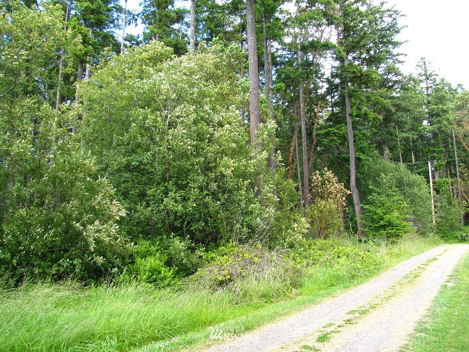 2nd image of 0 Schwartz Road