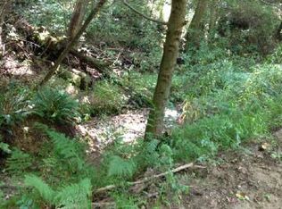 Abe Cove Rd, Hiawassee, GA 30546