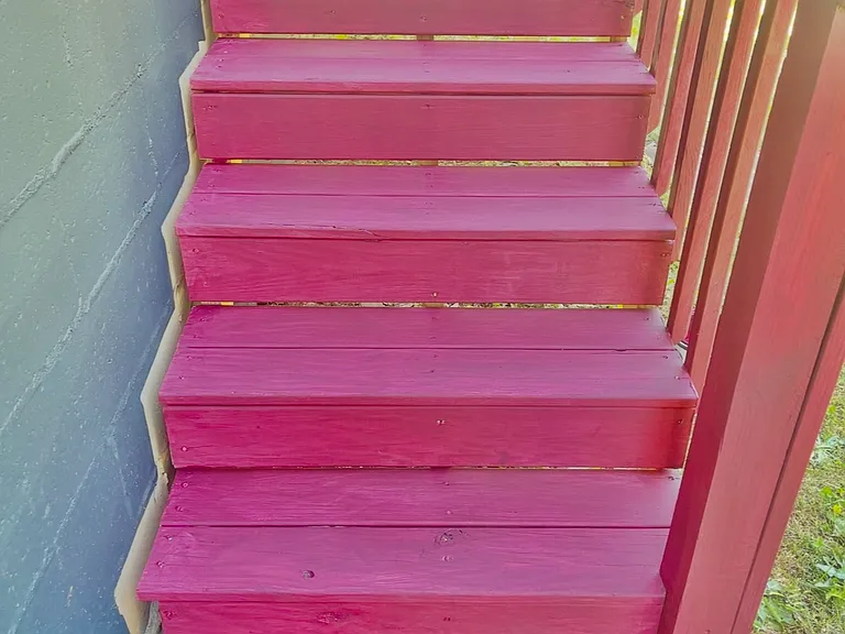 Back deck steps..Has front and back steps to enter deck