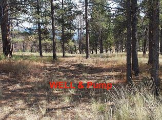 208 Eaglecrest Ct, Florissant, CO 80816