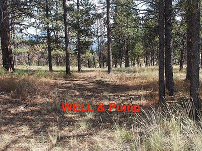 208 Eaglecrest Ct, Florissant, CO, 80816