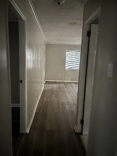 3 bed, 1.0 bath, 875 sqft, $1,300 — Photo 2