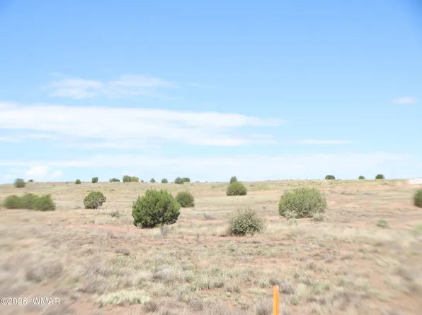 1191 W Pinedale Rd, Taylor, AZ 85939
