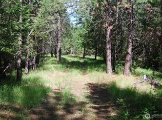 30-23 Wild Turkey Ln, Riverside, WA 98849