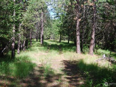 30 -23 Wild Turkey, Riverside, WA, 98849