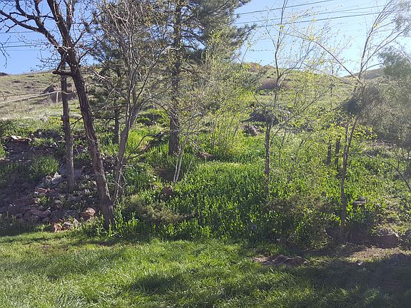 View from backyard