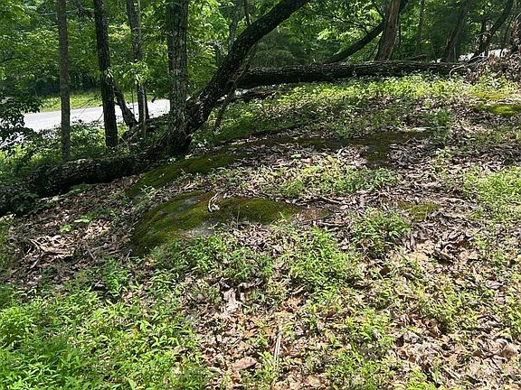 4th image of 186 Trentwood Dr Lot 101