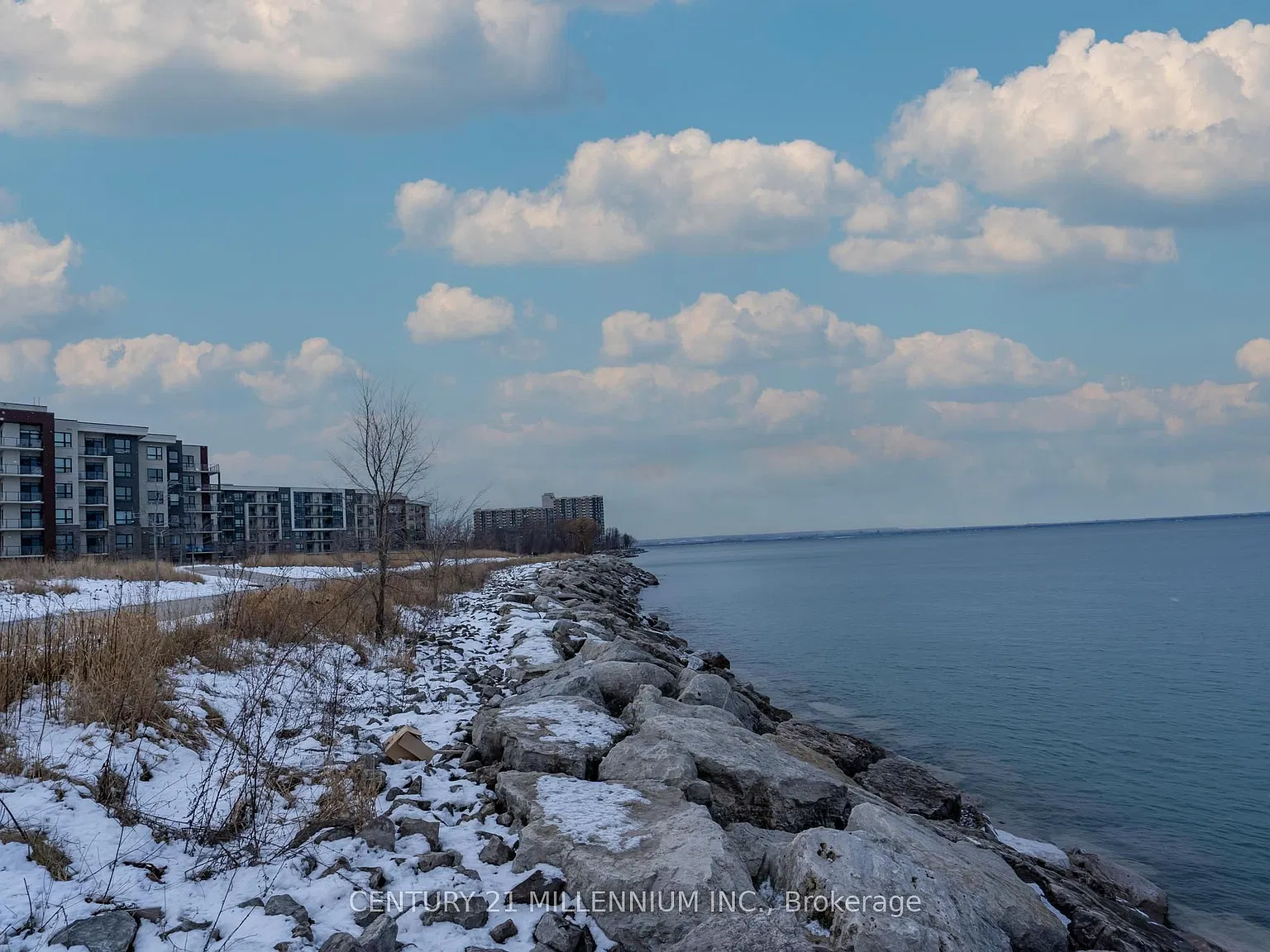 2 bed, $2,250 — Photo 1