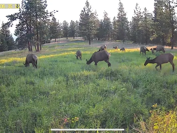 2434 Morning Dun Rd Lot 2, Missoula, MT 59804