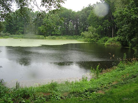 5th image of 1520 Cranberry Pond Trl
