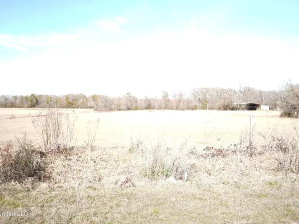 1630 Volley Campbell Rd, Terry, MS 39170