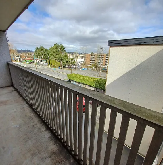 Colony Surf — Photo 22
