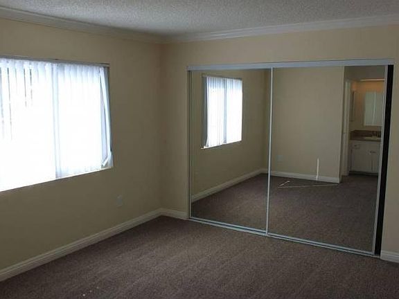Mirrored Closets & Vanity