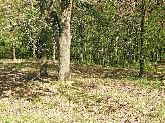 2nd image of LOT 24 Willmore Dr