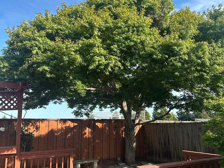 3320 Darwin Dr — Photo 20