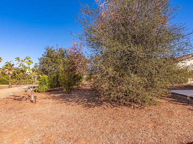 6163 E Los Angeles Ave — Photo 42