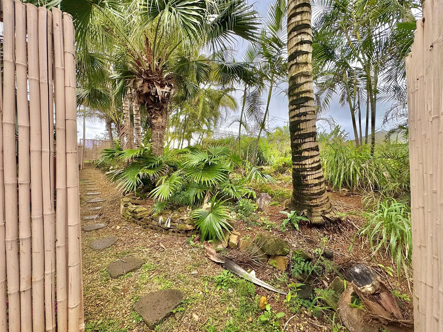 Studio, 170 sqft, $1,750 — Photo 3