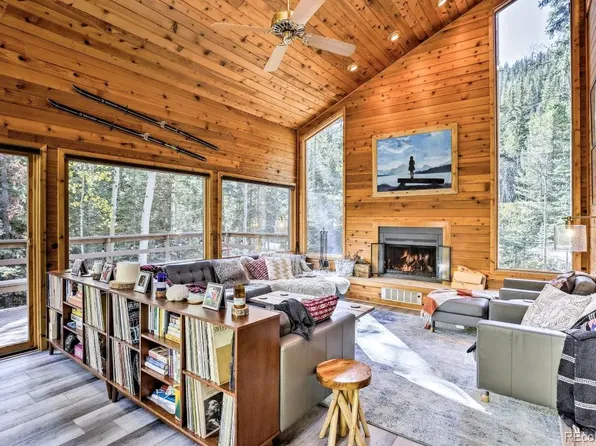 48 Moss Lane, Dumont, CO 80436
