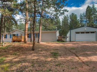 176 Peak View Cir, Florissant, CO 80816