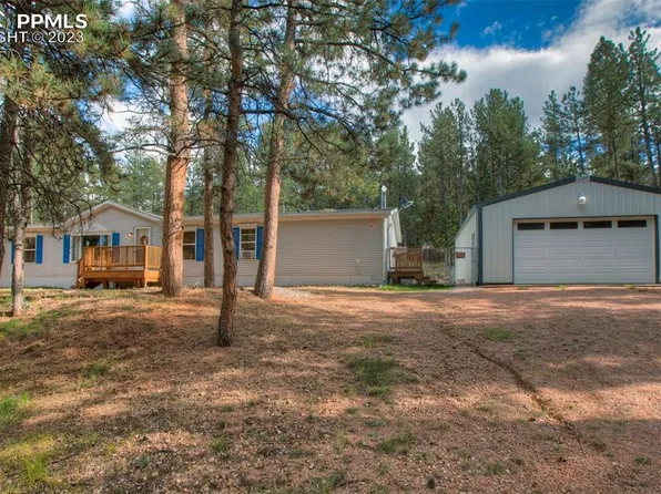 176 Peak View Cir, Florissant, CO 80816