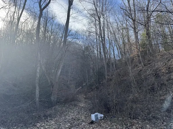 306 Rockcastle Rd, Whitesville, WV 25209