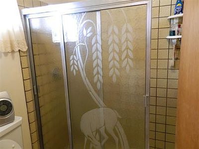 Master Shower