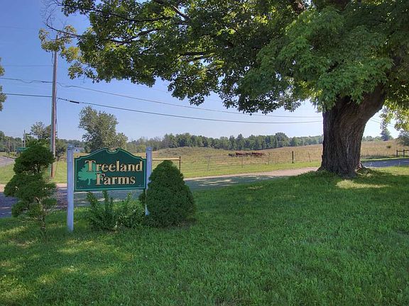 3rd image of 32 Treeland Farms