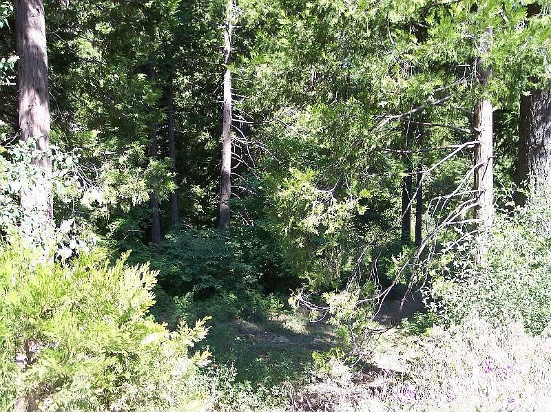 1st image of 40954 Cold Springs Ln