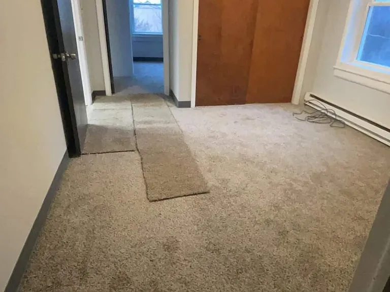 125 Mabel Ln — Photo 15
