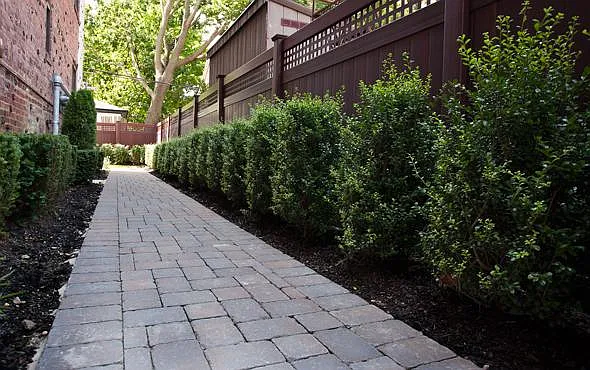 Fairfield Estates at Woodmere — Photo 8